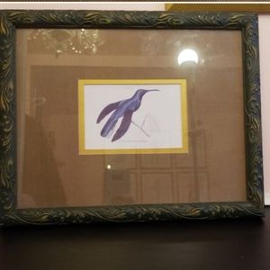 Framed blue hummingbird etching